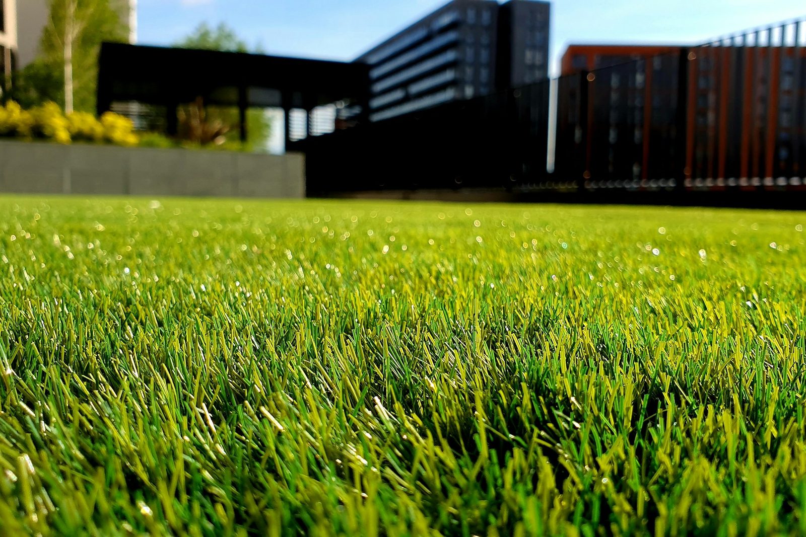 Finished landscaped lawn placeholder photo