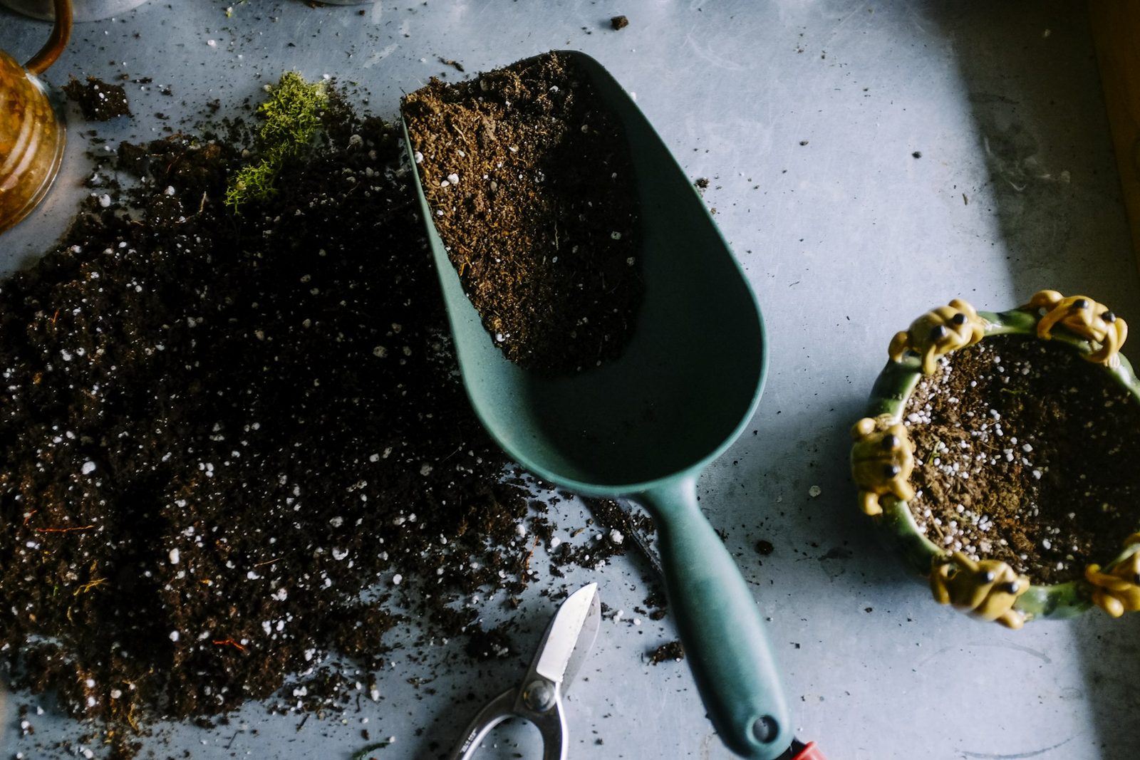 Garden tools and planting placeholder photo